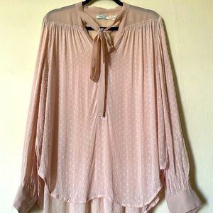 Sheer Light Pink Blouse